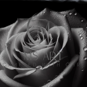 Hyper-realistic graphite drawing by Mel Shenalli.